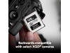 Lexar 128GB Professional CFexpress Type B Silver Series Memory Card, for Photographers, Videographers, Up to 1750/1300 MB/s, 8K Video (LCXEXSL128G-RNENG) Lexar 128GB Professional CFexpress Type B Silver Series Memory Card, for Photographers, Videographers, Up to 1750/1300 MB/s, 8K Video (LCXEXSL128G-RNENG)